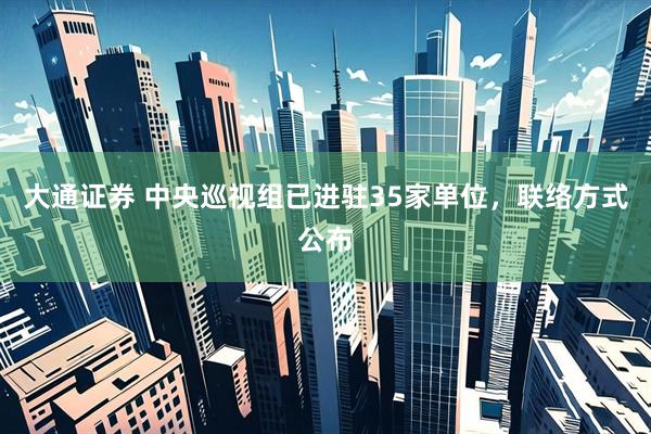大通证券 中央巡视组已进驻35家单位，联络方式公布