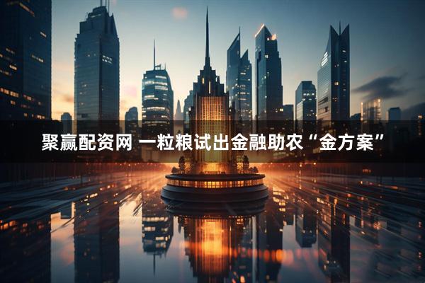 聚赢配资网 一粒粮试出金融助农“金方案”
